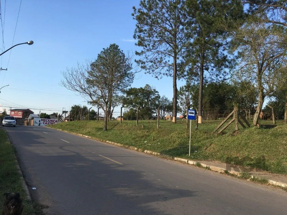 Terreno, 3467 m² - Foto 14