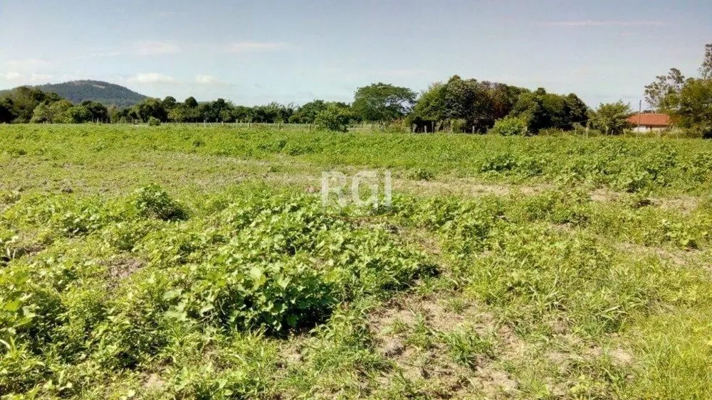 Terreno, 2 hectares - Foto 6