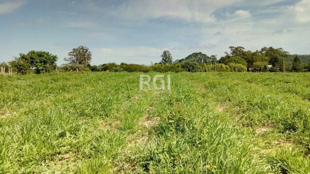 Terreno, 2 hectares - Foto 2