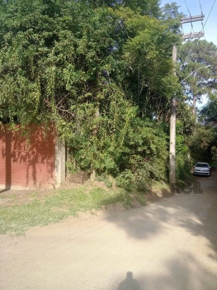 Terreno, 1 hectares - Foto 7