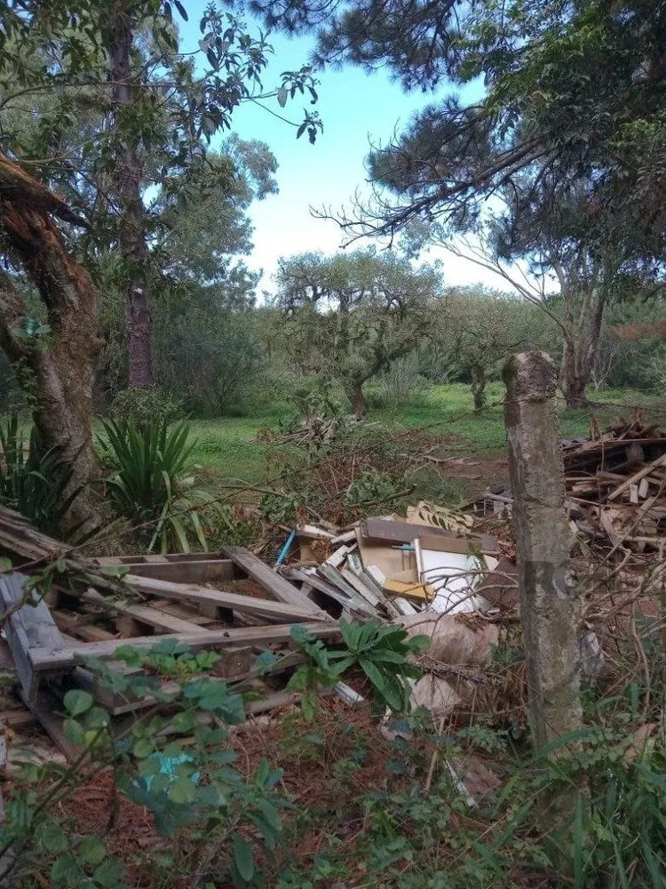 Terreno, 1 hectares - Foto 2
