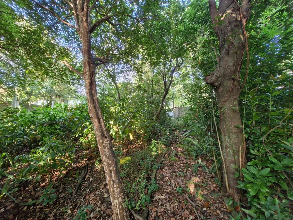 Terreno, 1463 m² - Foto 4