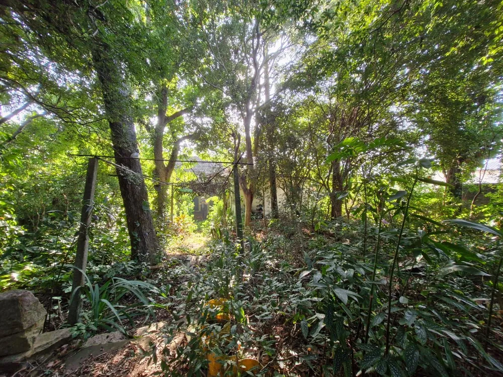 Terreno, 1463 m² - Foto 6