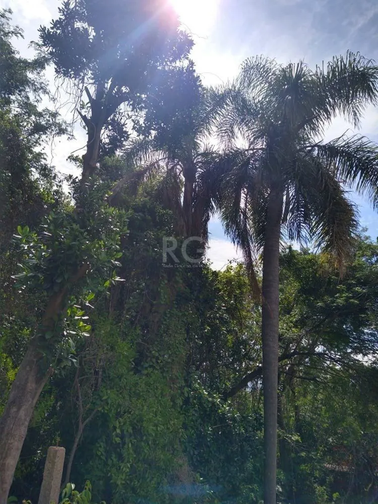 Apartamento, 2 quartos, 45 m² - Foto 11