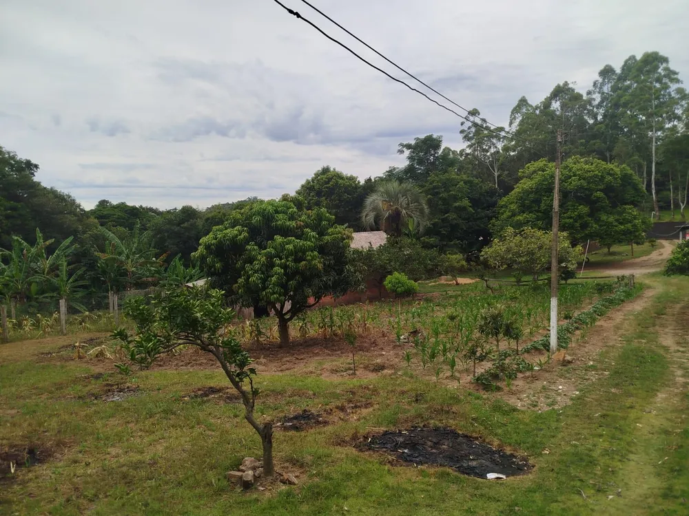 Chácara, 3 quartos, 3853 m² - Foto 2