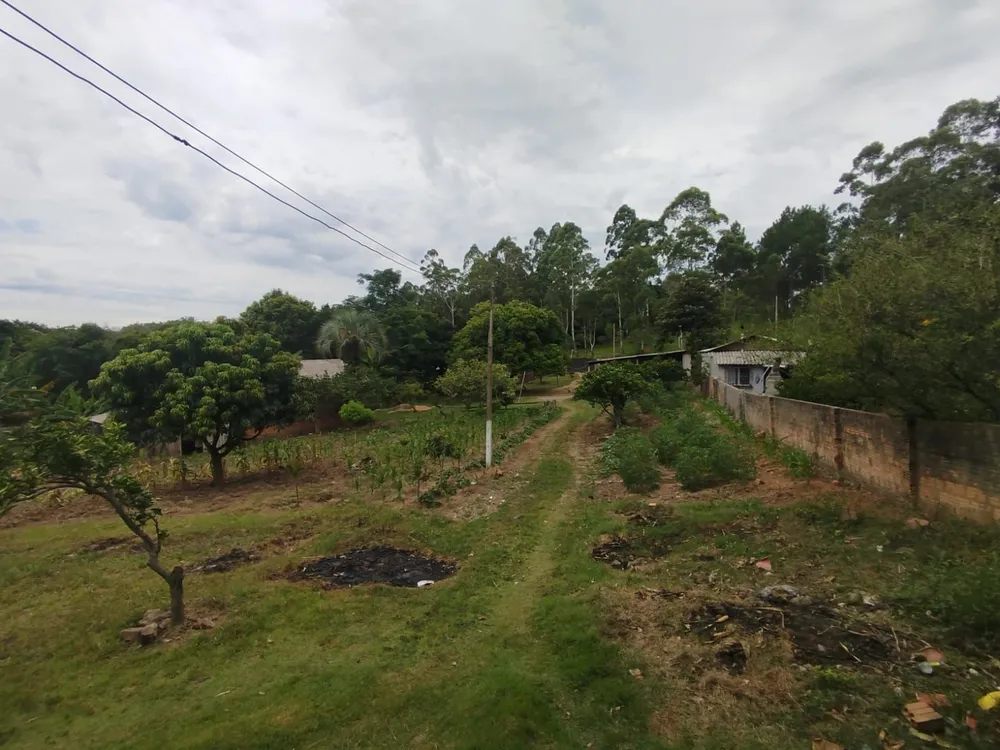 Chácara, 3 quartos, 3853 m² - Foto 3