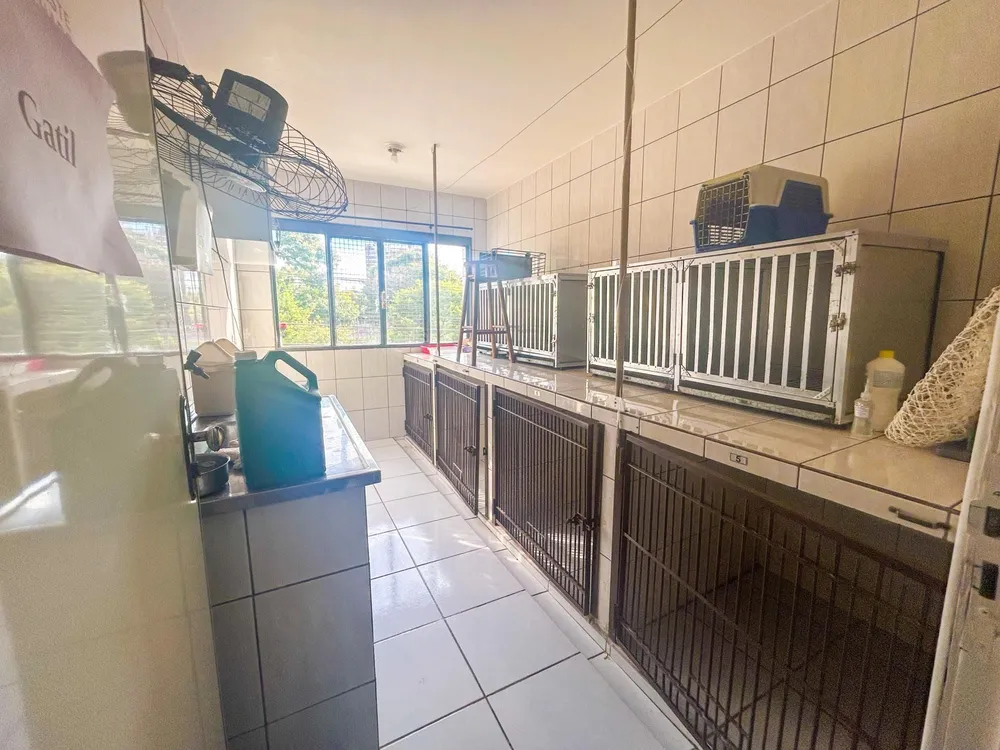 Prédio Inteiro, 168 m² - Foto 5