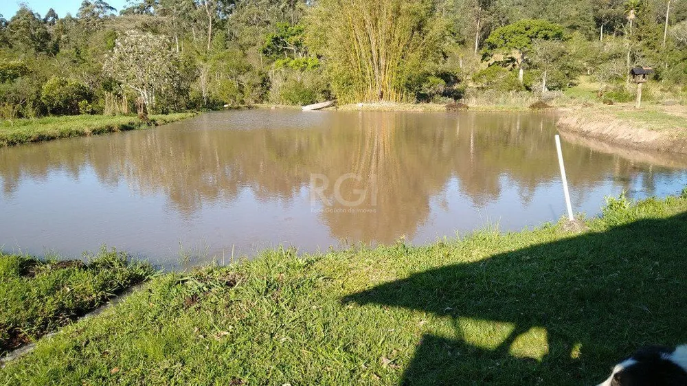 Chácara, 1 quarto, 5 hectares - Foto 4