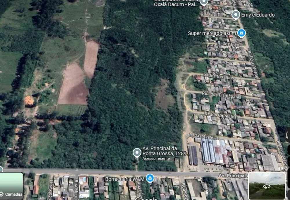 Terreno, 2 hectares - Foto 2