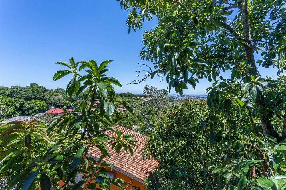 Casa, 4 quartos, 389 m² - Foto 3
