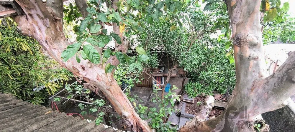 Casa, 4 quartos, 274 m² - Foto 7