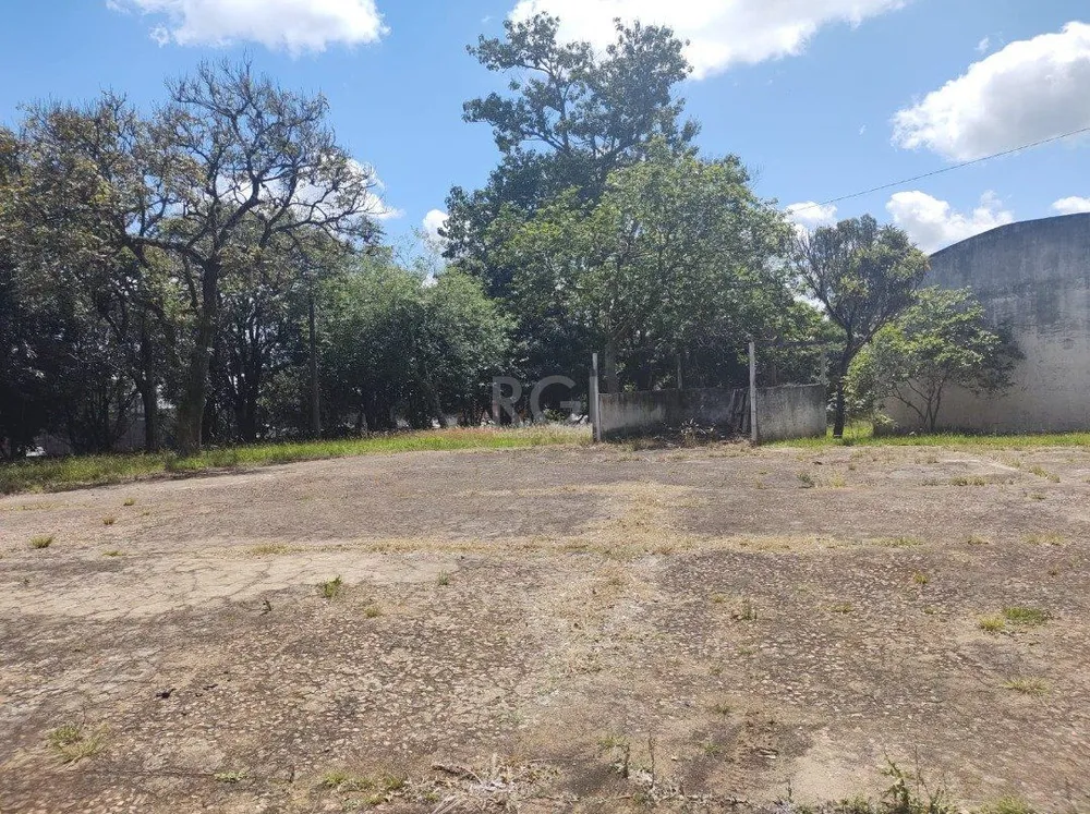 Depósito-Galpão, 1808 m² - Foto 4