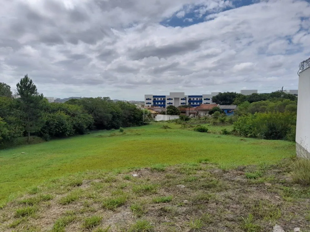 Terreno, 290 m² - Foto 5