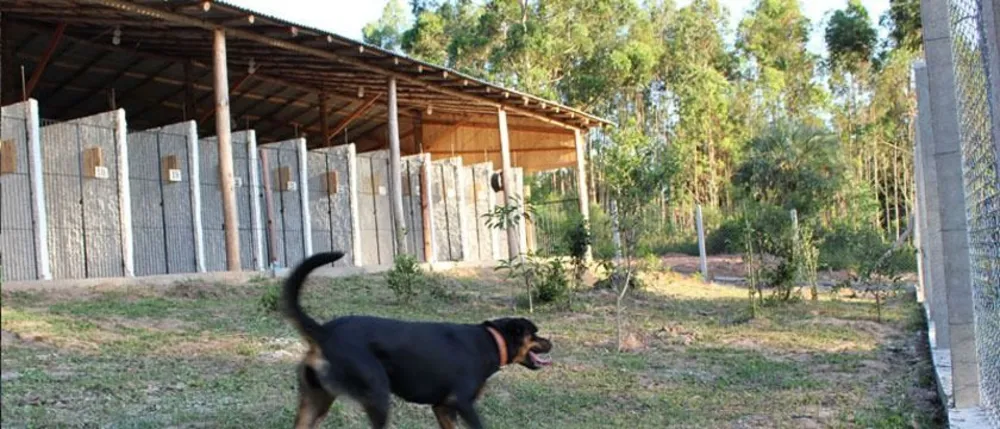 Sítio, 1 quarto, 3 hectares - Foto 1