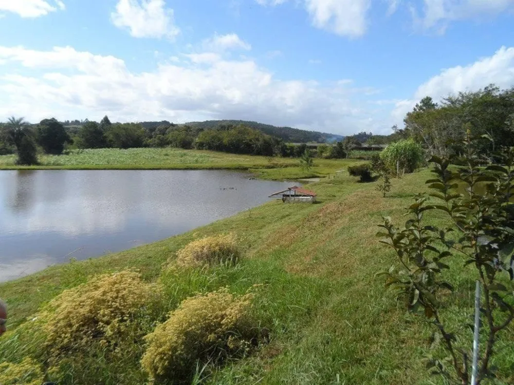 Chácara, 3 quartos, 2 hectares - Foto 4