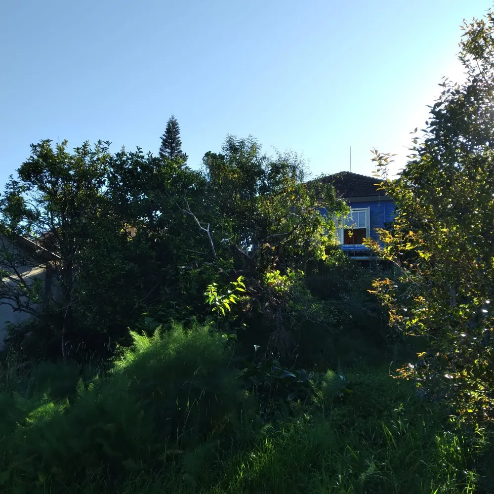 Terreno, 825 m² - Foto 9