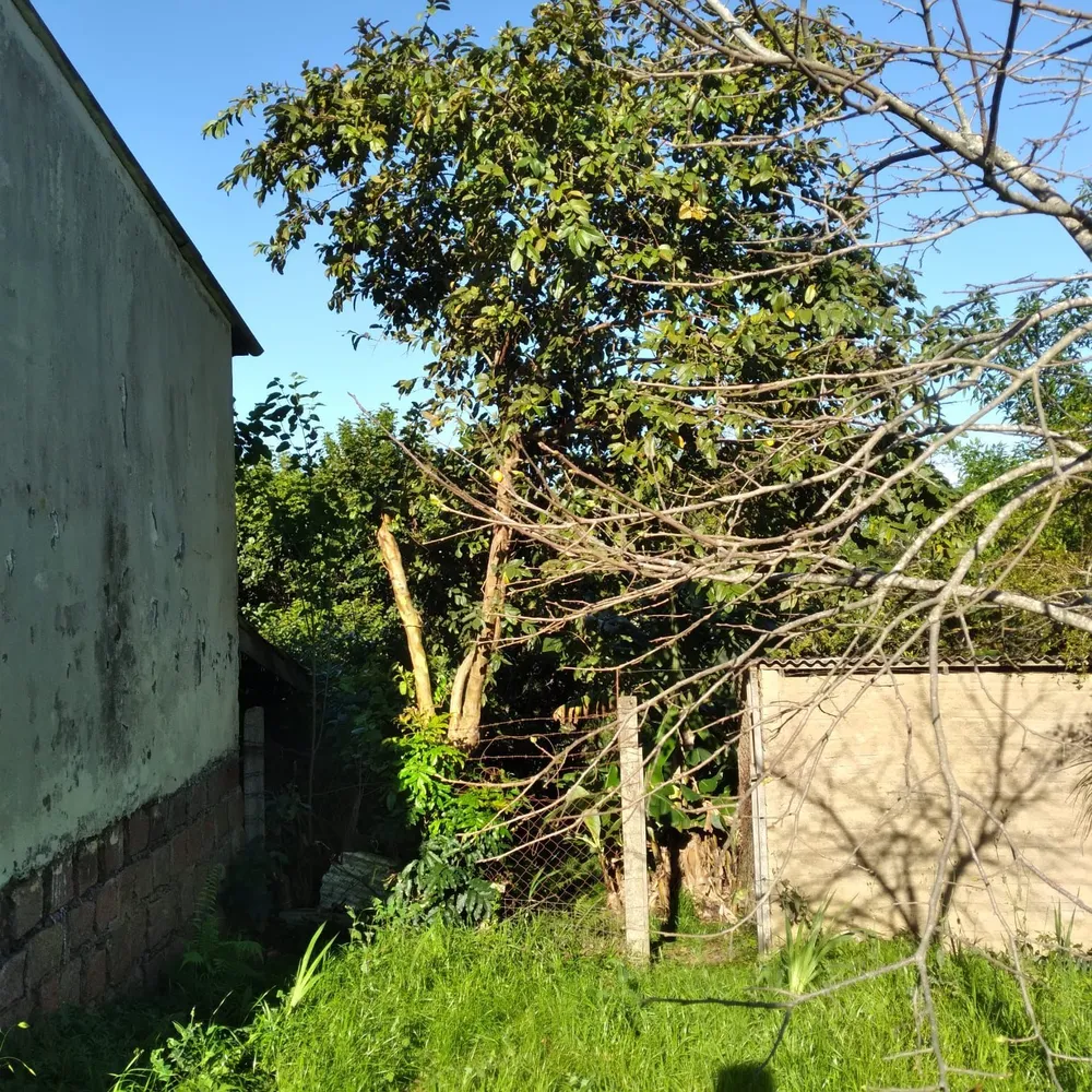 Terreno, 825 m² - Foto 8
