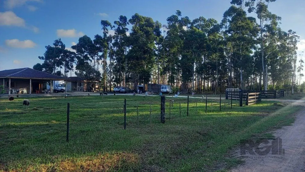 Sítio, 3 quartos, 3 hectares - Foto 9