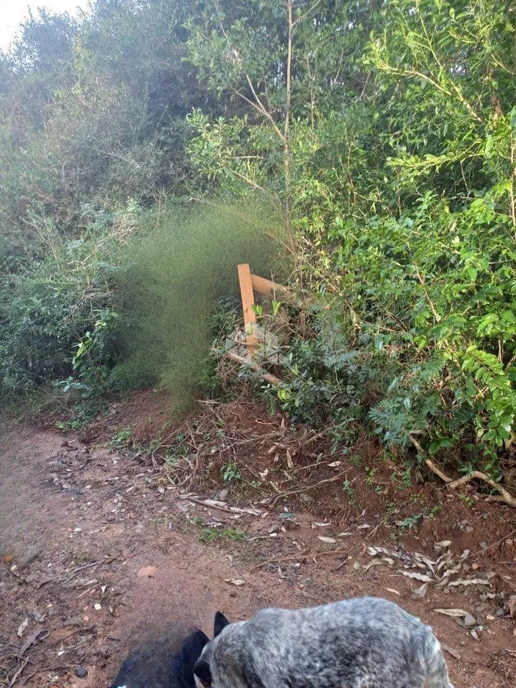 Terreno - Foto 3
