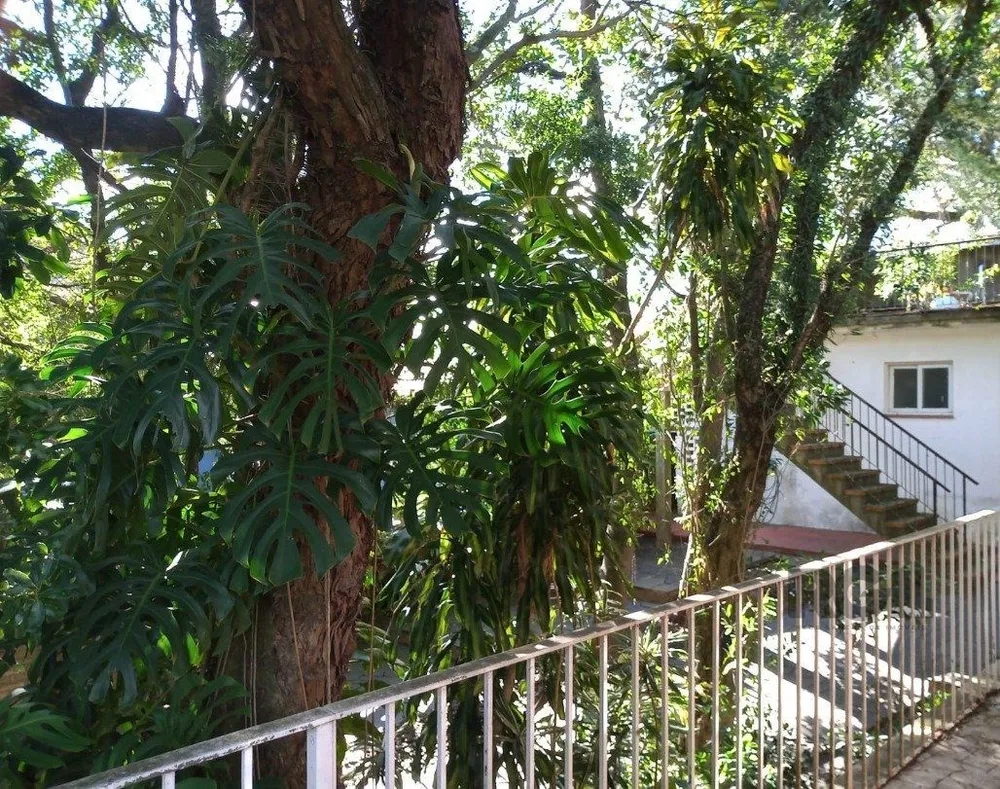 Casa, 4 quartos, 611 m² - Foto 6