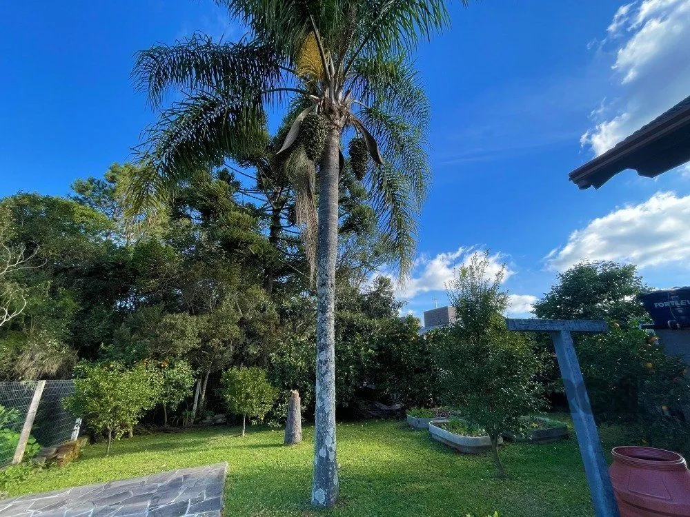 Casa, 3 quartos, 200 m² - Foto 2