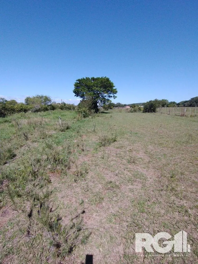 Chácara, 2 quartos, 6737 m² - Foto 5