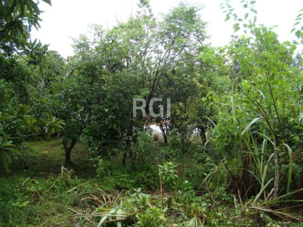 Terreno, 850 m² - Foto 4