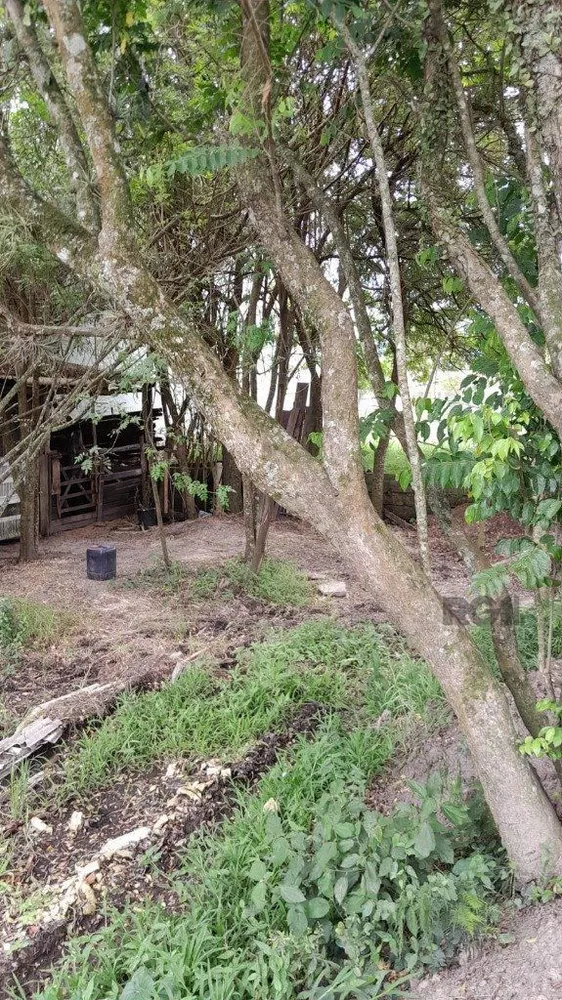 Terreno, 1000 m² - Foto 6