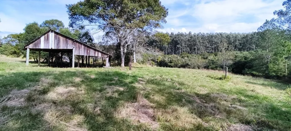 Sítio, 3 quartos, 12 hectares - Foto 11