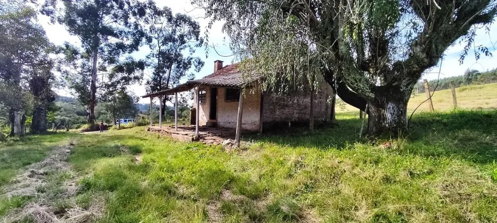 Sítio, 3 quartos, 12 hectares - Foto 13