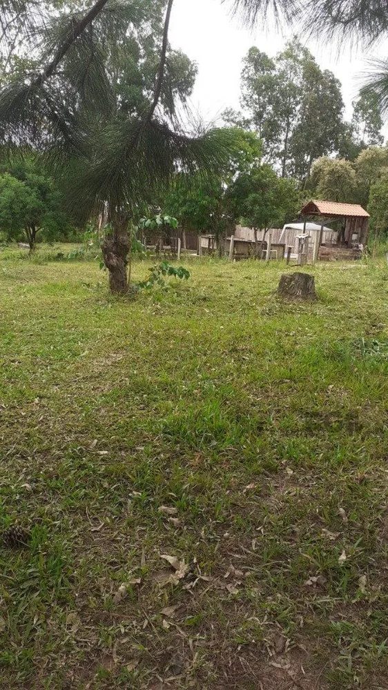 Casa, 4 quartos, 350 m² - Foto 6
