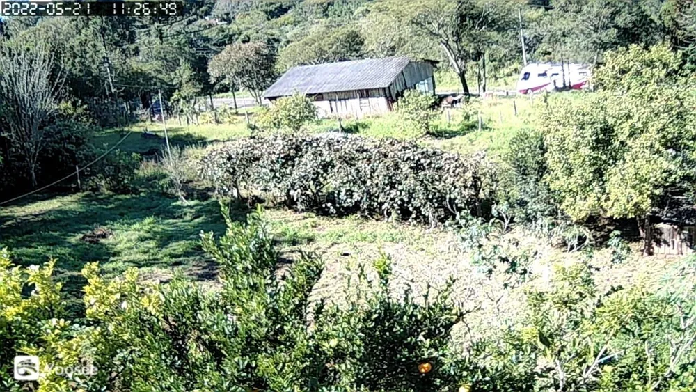 Sítio, 3 quartos, 2 hectares - Foto 14