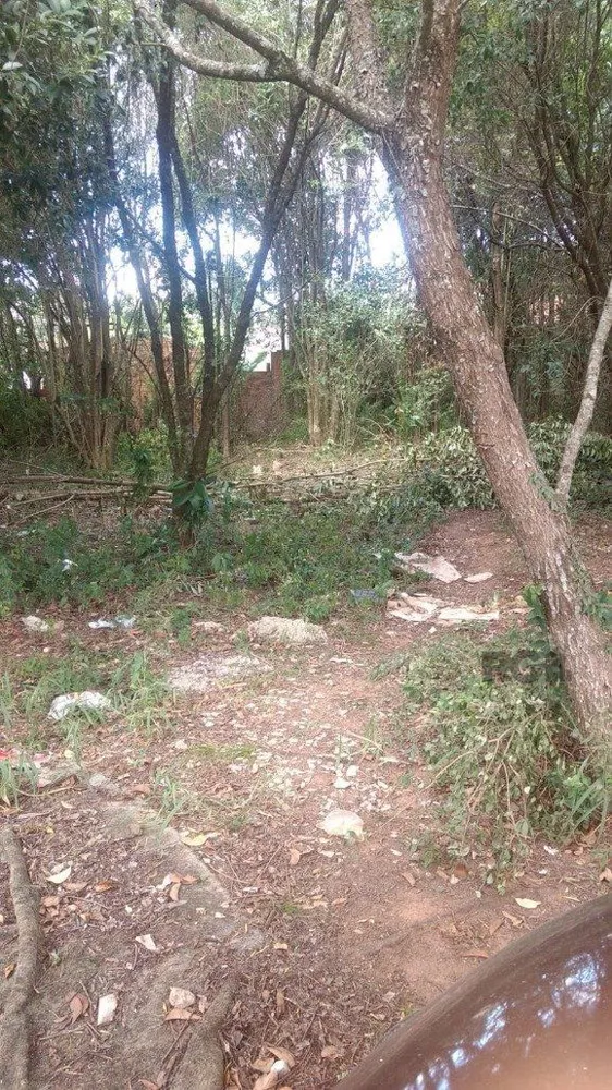 Terreno, 300 m² - Foto 4