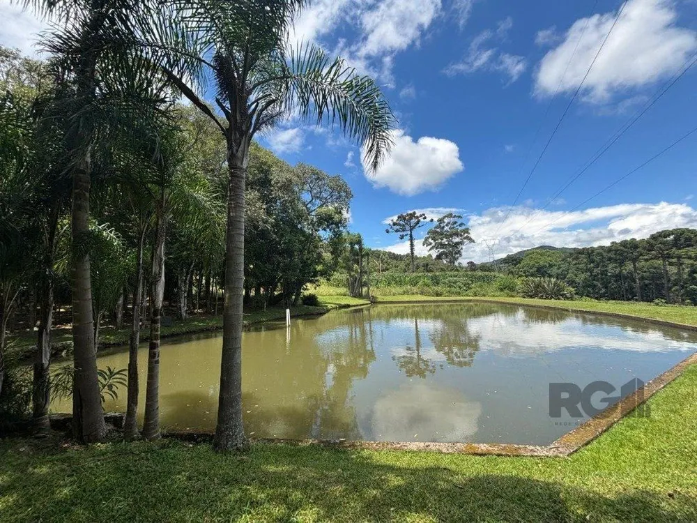 Sítio, 6 quartos, 5000 m² - Foto 10