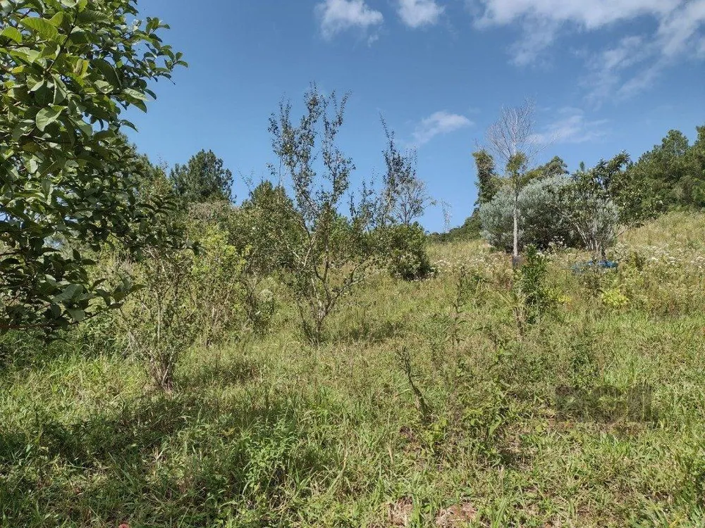 Sítio, 1 quarto, 1 hectares - Foto 1