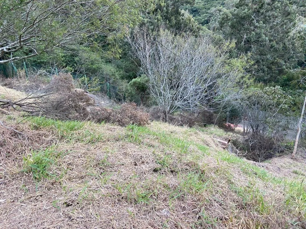 Terreno, 2313 m² - Foto 11