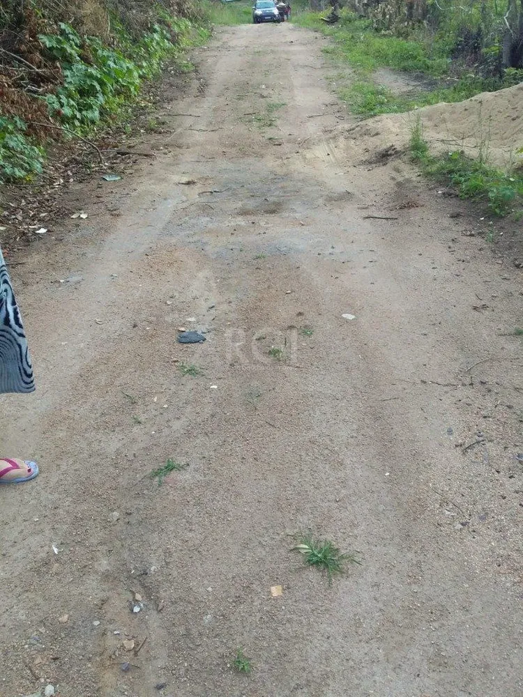 Terreno, 4 hectares - Foto 6