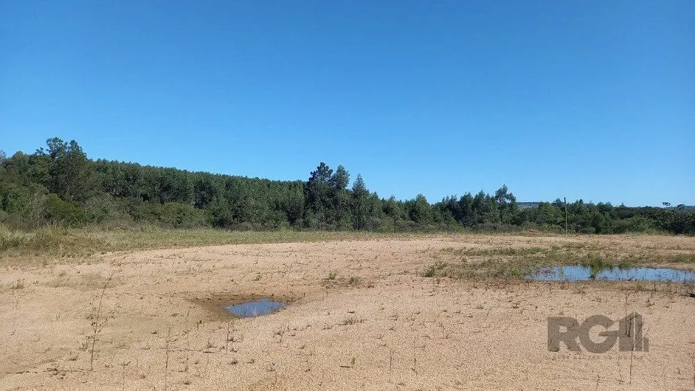 Terreno, 2 hectares - Foto 4