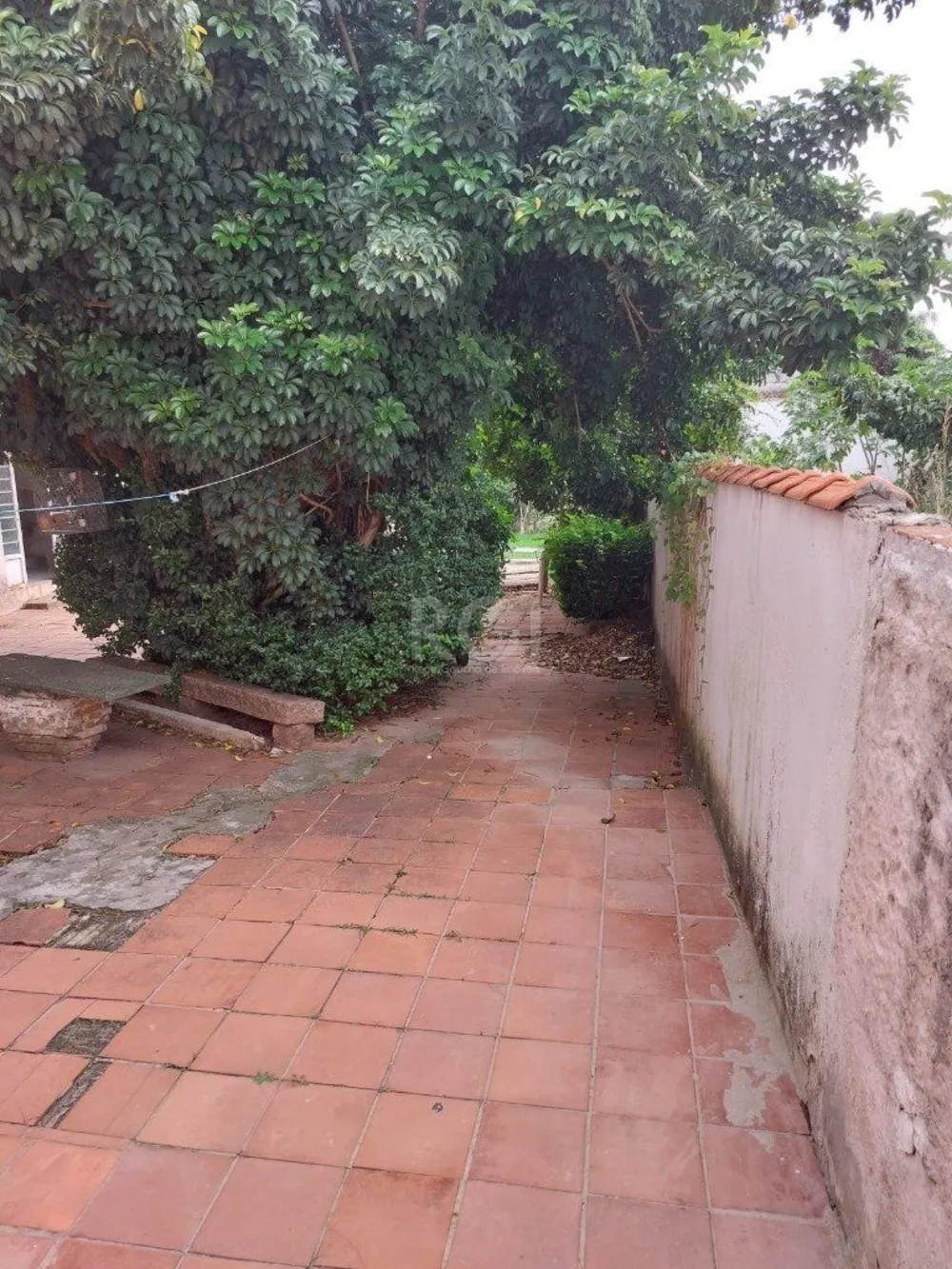 Terreno, 206 hectares - Foto 2