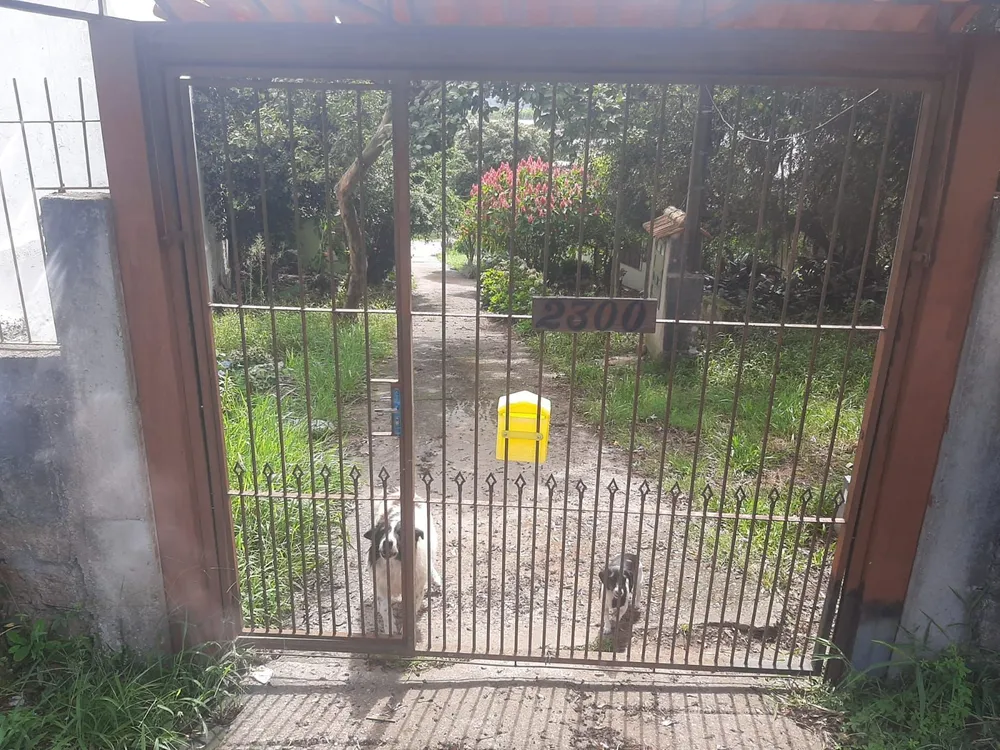 Terreno, 6801 m² - Foto 15