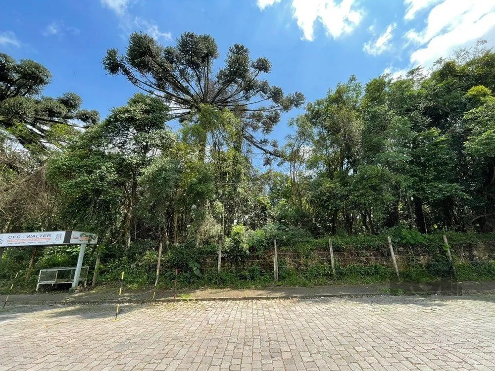 Terreno, 1 hectares - Foto 1