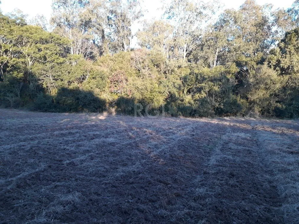 Sítio, 1 quarto, 1 hectares - Foto 1