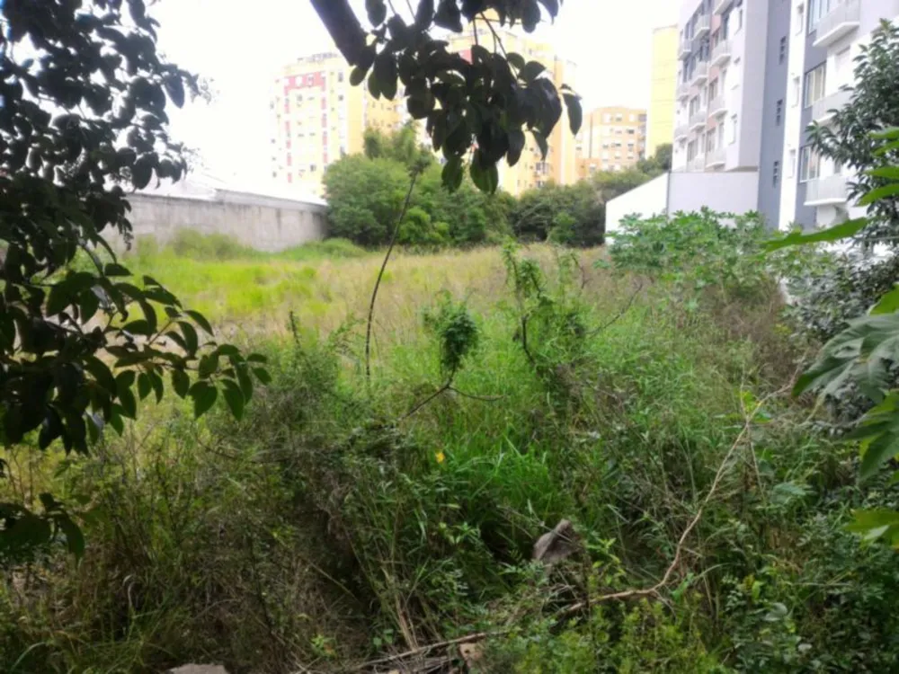 Terreno, 2452 m² - Foto 3
