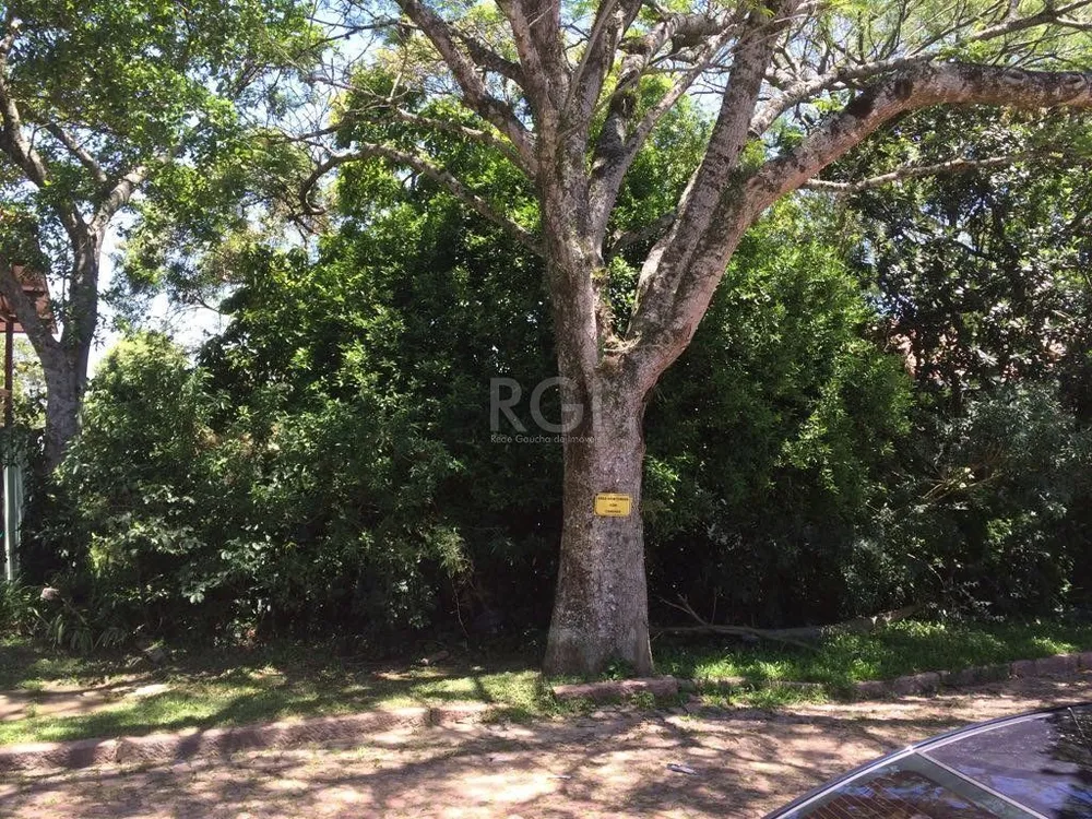 Terreno, 451 m² - Foto 4
