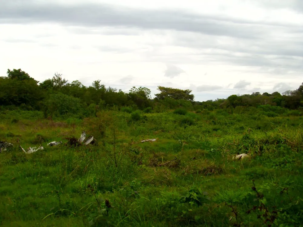 Chácara, 1 hectares - Foto 3