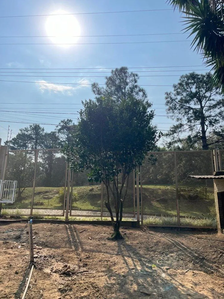 Terreno, 285 m² - Foto 16