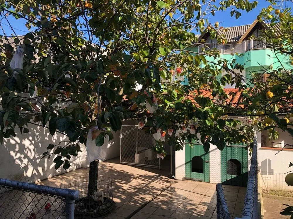 Apartamento, 3 quartos, 167 m² - Foto 1
