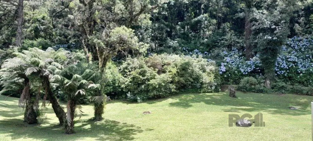 Casa, 3 quartos, 350 m² - Foto 2