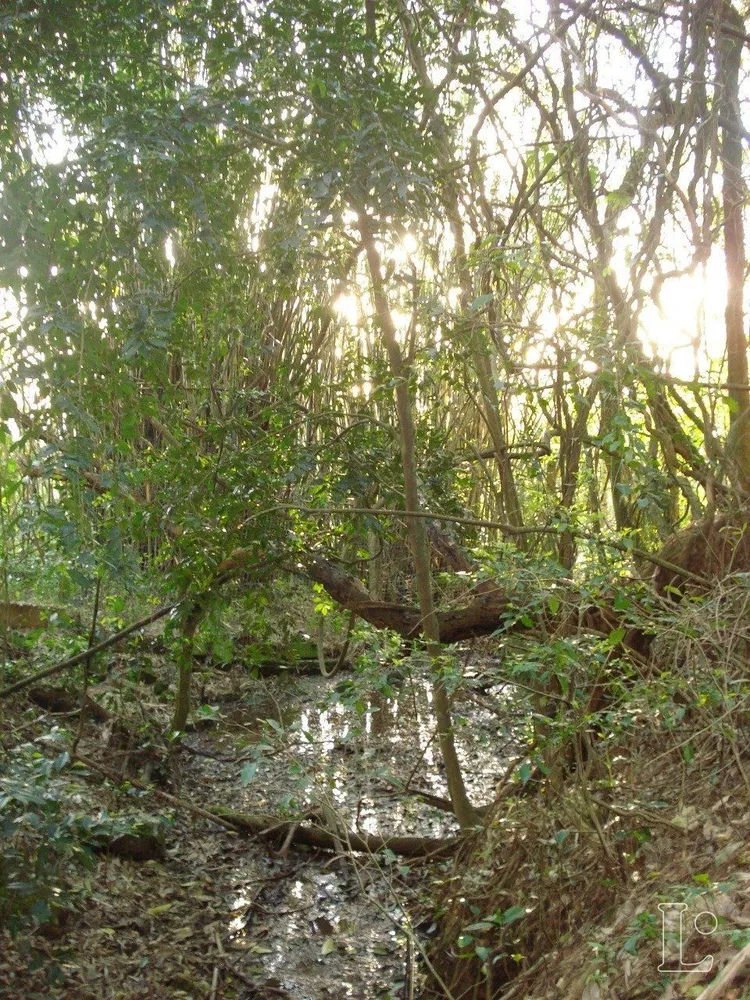 Terreno, 4500 m² - Foto 5