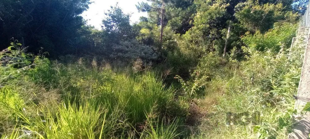 Terreno, 653 m² - Foto 2